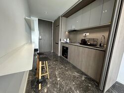 Avenue South Residence (D3), Apartment #522070901